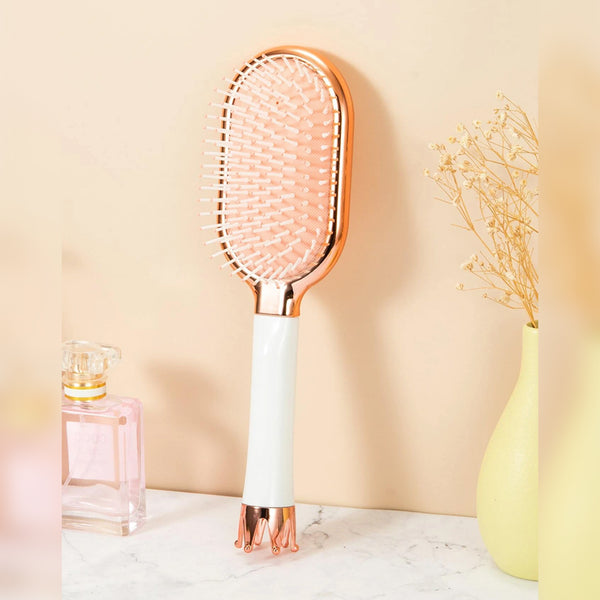 Multifunctional Safe Hair Brush with Removable Secret Cover for storing small accessories