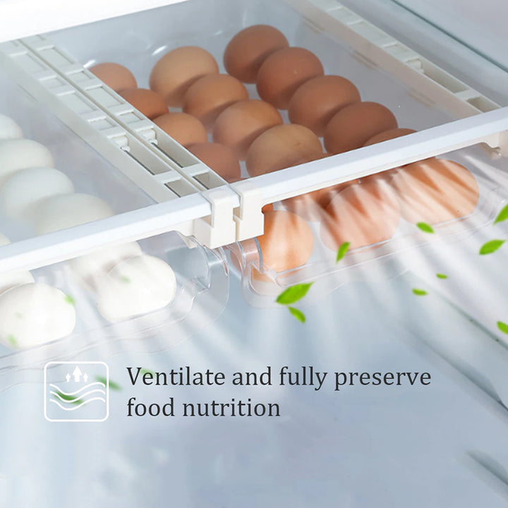 Adjustable Kitchen Egg Organizer Storage Rack Box Fridge Freezer Shelf Holder