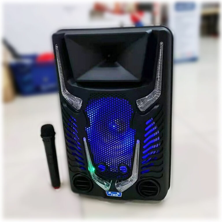 Cow Style 12 Inch Speaker with Microphone Big Power Portable Speaker Gz-8912